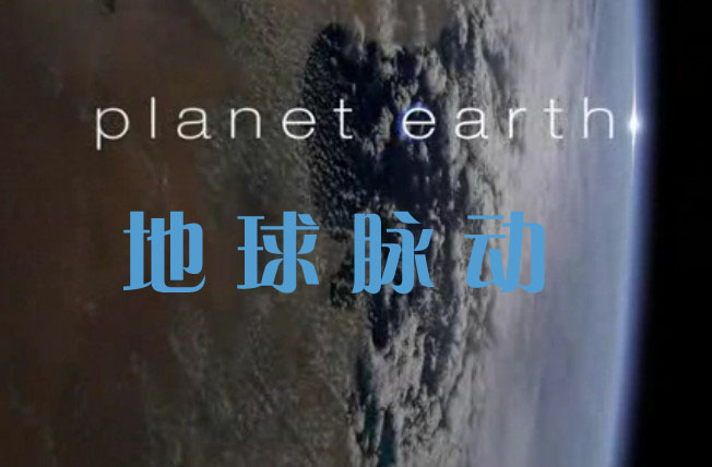 第08集：季节森林